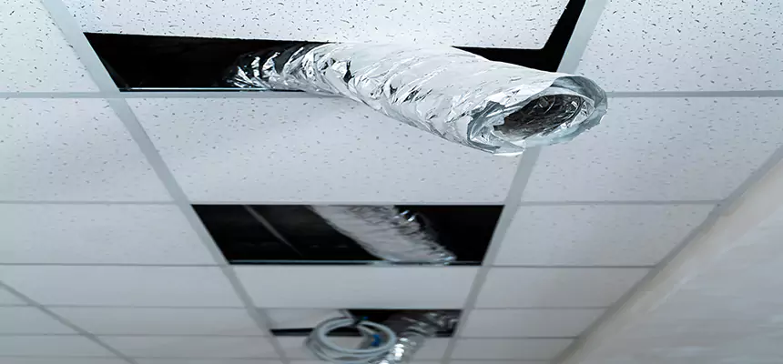 Affordable HVAC Sanitizing After Pest Removal in Louisville