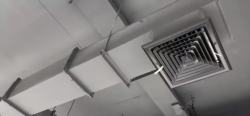 Our Rodent Droppings In Vents Services in Louisville, KY