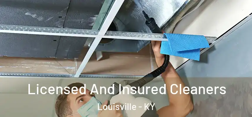Licensed And Insured Cleaners Louisville - KY