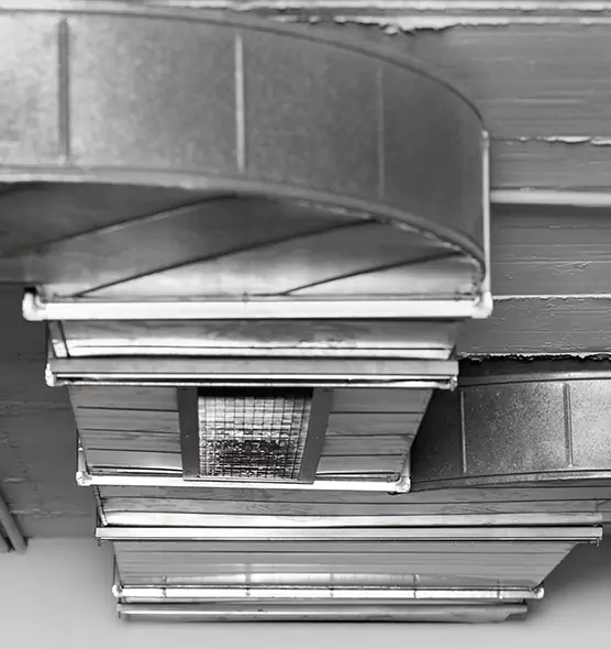 Professional Air Duct Pest Removal in Louisville, KY