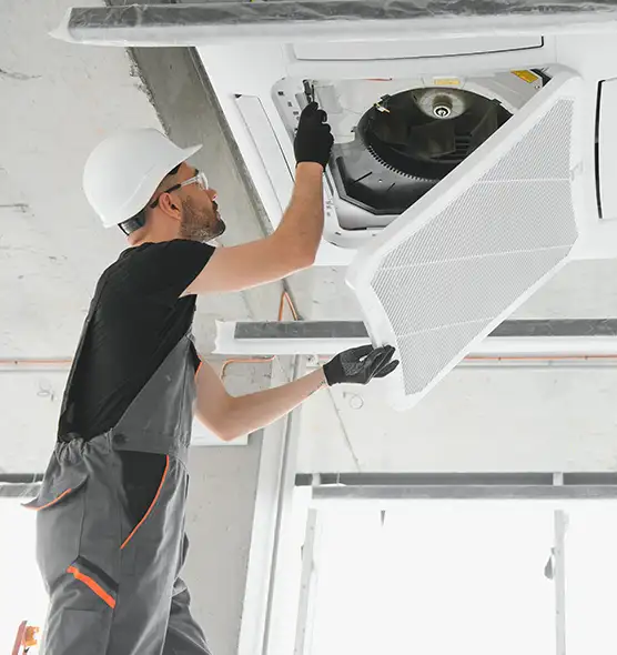 About Air Duct Rodent Removal in Louisville, KY