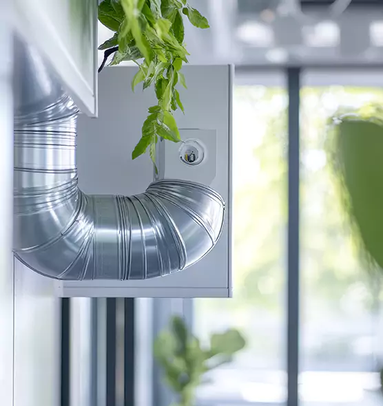 Professional Eco-Friendly Duct Cleaning Services in Louisville, KY