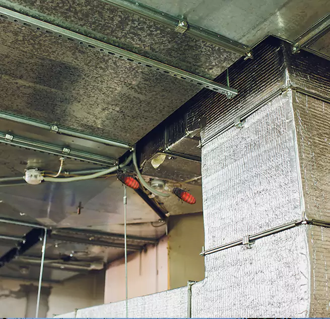 Why Homeowners & Businesses Trust Us in Louisville, KY?