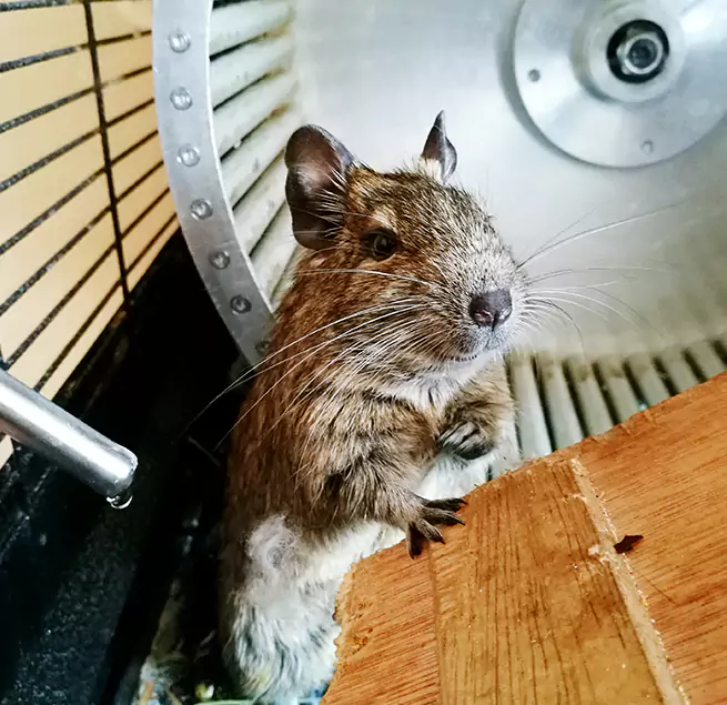 Why Homeowners & Businesses Trust Us Louisville, KY