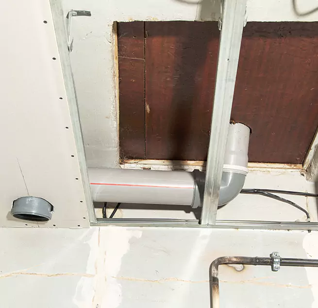 Why Homeowners & Businesses Trust Us in Louisville, KY?