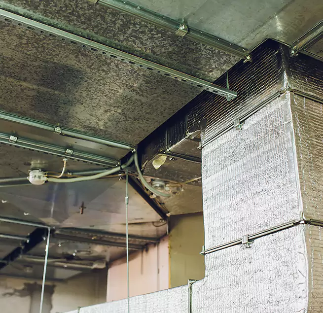 Why Homeowners & Businesses Trust Us in Louisville, KY?